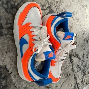 Woman’s Nike Dunk Low Disrupt